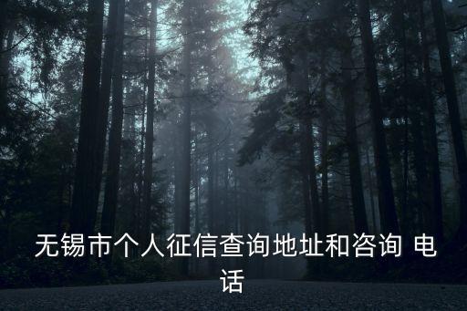 中行無錫支行電話是多少錢