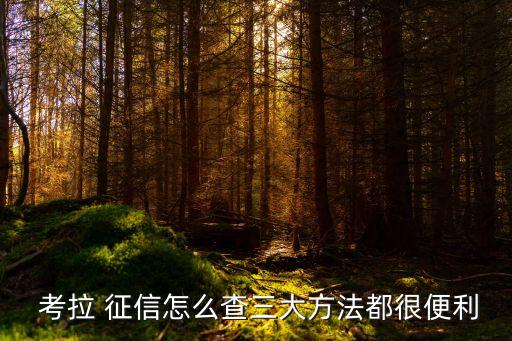  考拉 征信怎么查三大方法都很便利