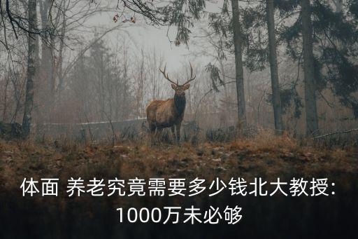 體面 養(yǎng)老究竟需要多少錢(qián)北大教授:1000萬(wàn)未必夠