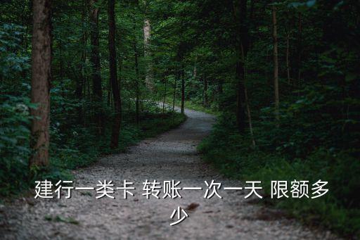  建行一類卡 轉(zhuǎn)賬一次一天 限額多少