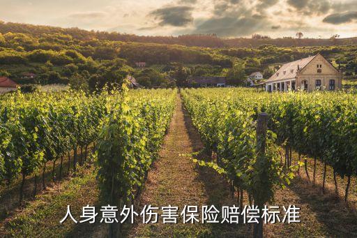  人身意外傷害保險(xiǎn)賠償標(biāo)準(zhǔn)