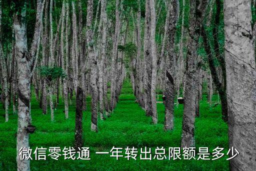 微信一年提現(xiàn)能提多少,微信提現(xiàn)一年有幾次免費(fèi)