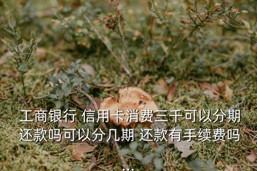  工商銀行 信用卡消費(fèi)三千可以分期 還款嗎可以分幾期 還款有手續(xù)費(fèi)嗎...