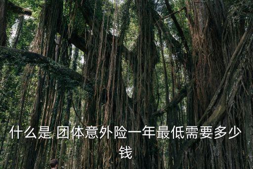 團(tuán)體保險(xiǎn)價(jià)格多少,公司買團(tuán)體保險(xiǎn)多少錢一年