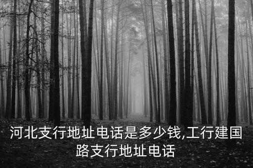 工行河北支行地址電話是多少錢,工行建國(guó)路支行地址電話