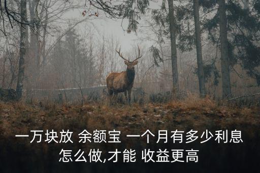 一萬塊放 余額寶 一個(gè)月有多少利息怎么做,才能 收益更高