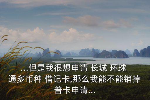 長城環(huán)球通多幣借記卡年費(fèi)多少
