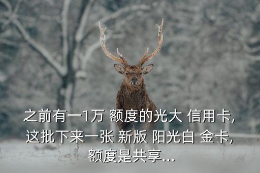 之前有一1萬(wàn) 額度的光大 信用卡,這批下來(lái)一張 新版 陽(yáng)光白 金卡, 額度是共享...