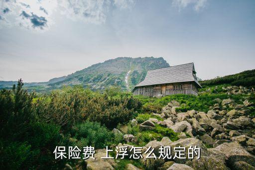 保險(xiǎn)最多上浮多少錢,保險(xiǎn)上浮20%是多少錢