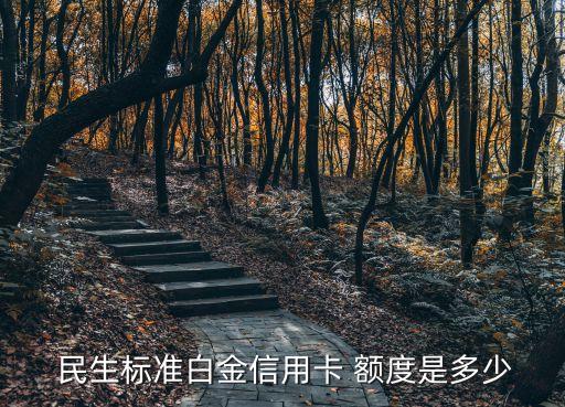  民生標準白金信用卡 額度是多少