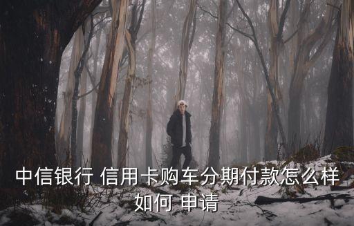 用車申請(qǐng)信用卡額度多少錢,用車辦信用卡額度高不高