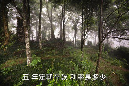 五 年定期存款 利率是多少