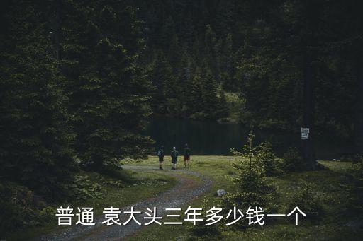 普通 袁大頭三年多少錢一個