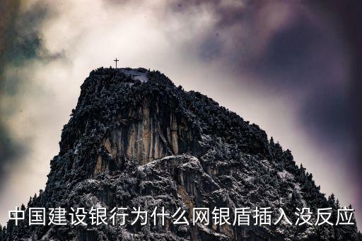 建行u盾主管初始密碼是多少,建行對(duì)公2個(gè)u盾初始密碼