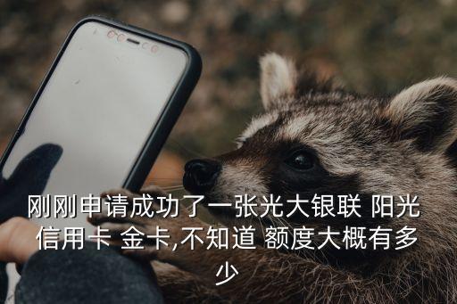 剛剛申請(qǐng)成功了一張光大銀聯(lián) 陽(yáng)光 信用卡 金卡,不知道 額度大概有多少