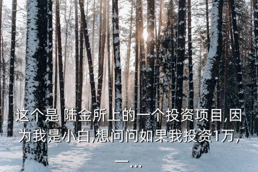 這個(gè)是 陸金所上的一個(gè)投資項(xiàng)目,因?yàn)槲沂切“?想問(wèn)問(wèn)如果我投資1萬(wàn),一...