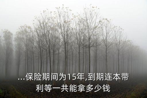 國信迎鑫寶收益有多少