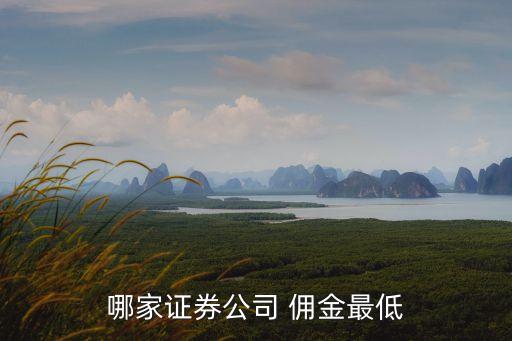 哪家證券公司 傭金最低