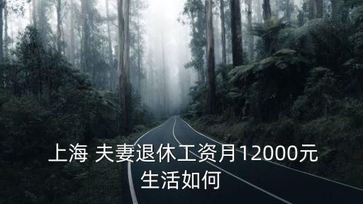 上海夫妻月收入多少,夫妻月收入2萬生活水平