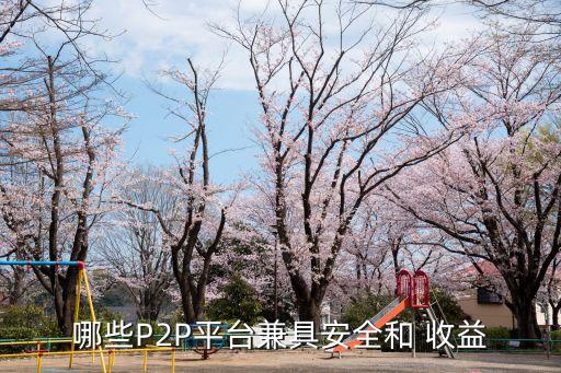 哪些P2P平臺兼具安全和 收益