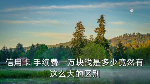 信用卡 手續(xù)費(fèi)一萬(wàn)塊錢(qián)是多少竟然有這么大的區(qū)別