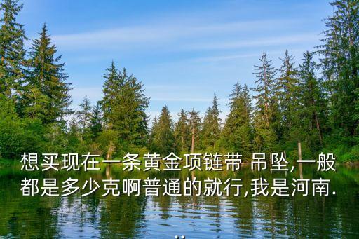 想買現(xiàn)在一條黃金項(xiàng)鏈帶 吊墜,一般都是多少克啊普通的就行,我是河南...