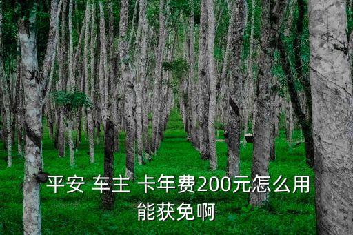  平安 車主 卡年費(fèi)200元怎么用能獲免啊
