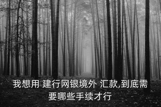 我想用 建行網(wǎng)銀境外 匯款,到底需要哪些手續(xù)才行