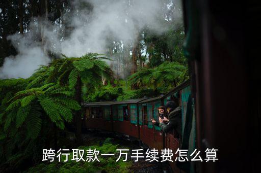 跨行取款一萬(wàn)手續(xù)費(fèi)怎么算