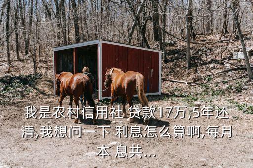 我是農(nóng)村信用社 貸款17萬,5年還清,我想問一下 利息怎么算啊,每月本 息共...
