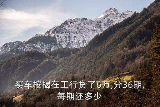 買車按揭在工行貸了6萬,分36期,每期還多少