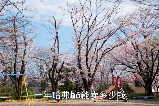  一年哈弗h6能賣(mài)多少錢(qián)