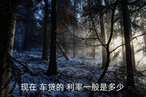 現(xiàn)在 車貸的 利率一般是多少