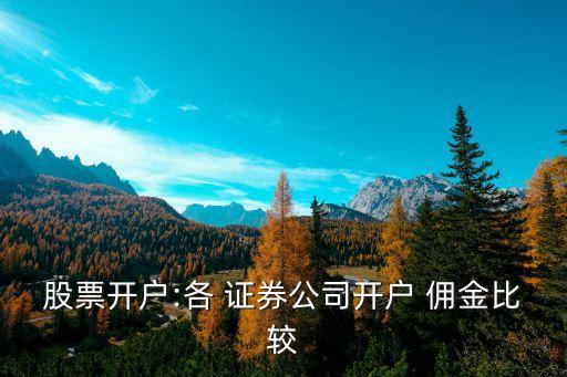 長江證券傭金最低多少,十大證券公司哪個傭金最低