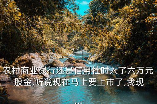 改制農(nóng)商行需要股金多少,信用社改制農(nóng)商行股金
