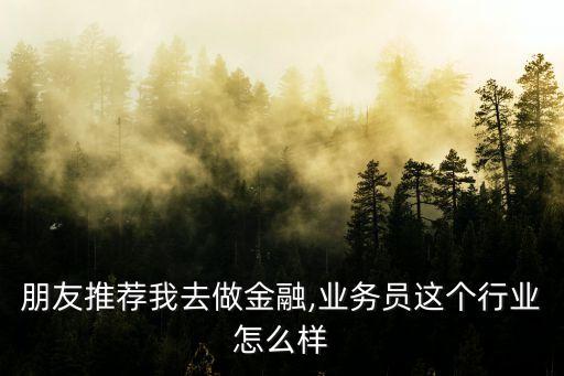 朋友推薦我去做金融,業(yè)務(wù)員這個行業(yè)怎么樣