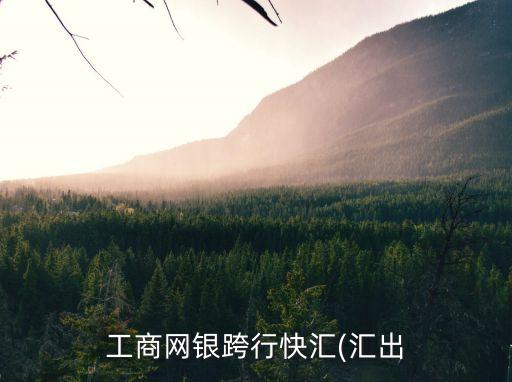工商網(wǎng)銀跨行快匯(匯出