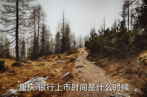 重慶銀行網(wǎng)址是多少錢,重慶富民銀行網(wǎng)址