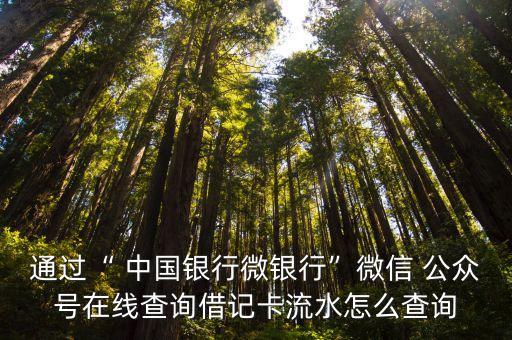 中國銀行公眾號是多少,關(guān)注中國銀行公眾號能收到提醒