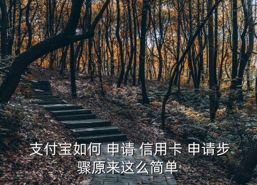 在支付寶上怎么申請(qǐng)信用卡額度是多少