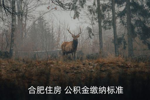  合肥住房 公積金繳納標(biāo)準(zhǔn)