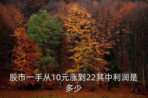 股市一手從10元漲到22其中利潤(rùn)是多少