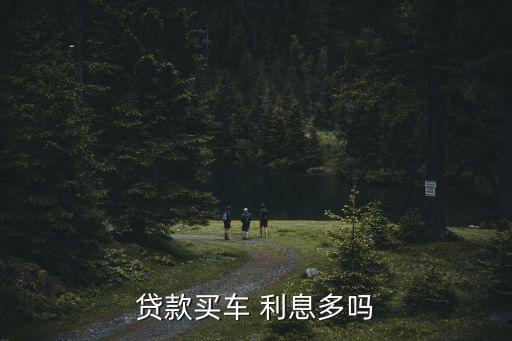 10萬車貸兩年利息多少,車貸兩年利息一般是多少