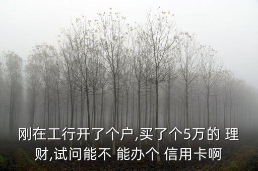 剛在工行開了個(gè)戶,買了個(gè)5萬的 理財(cái),試問能不 能辦個(gè) 信用卡啊
