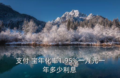 支付 寶年化率1.95%一萬元一年多少利息