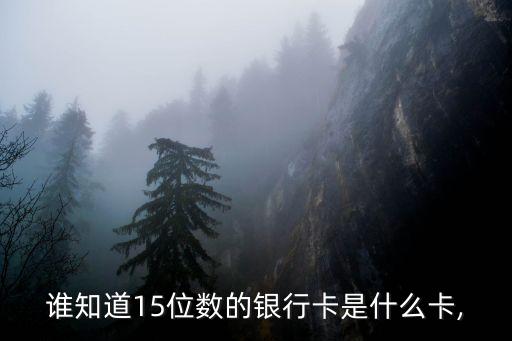 一卡通存折賬號多少位,存折一卡通卡號和賬號