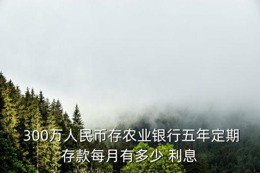  300萬人民幣存農(nóng)業(yè)銀行五年定期存款每月有多少 利息