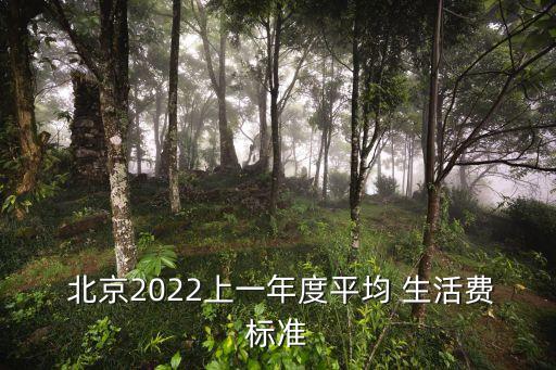  北京2022上一年度平均 生活費標準