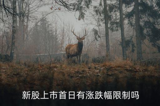 新股開盤日掛多少錢,集合競價新股掛多少