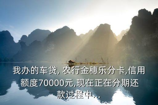 我辦的車貸, 農(nóng)行金穗樂分卡,信用 額度70000元,現(xiàn)在正在分期還款過程中...